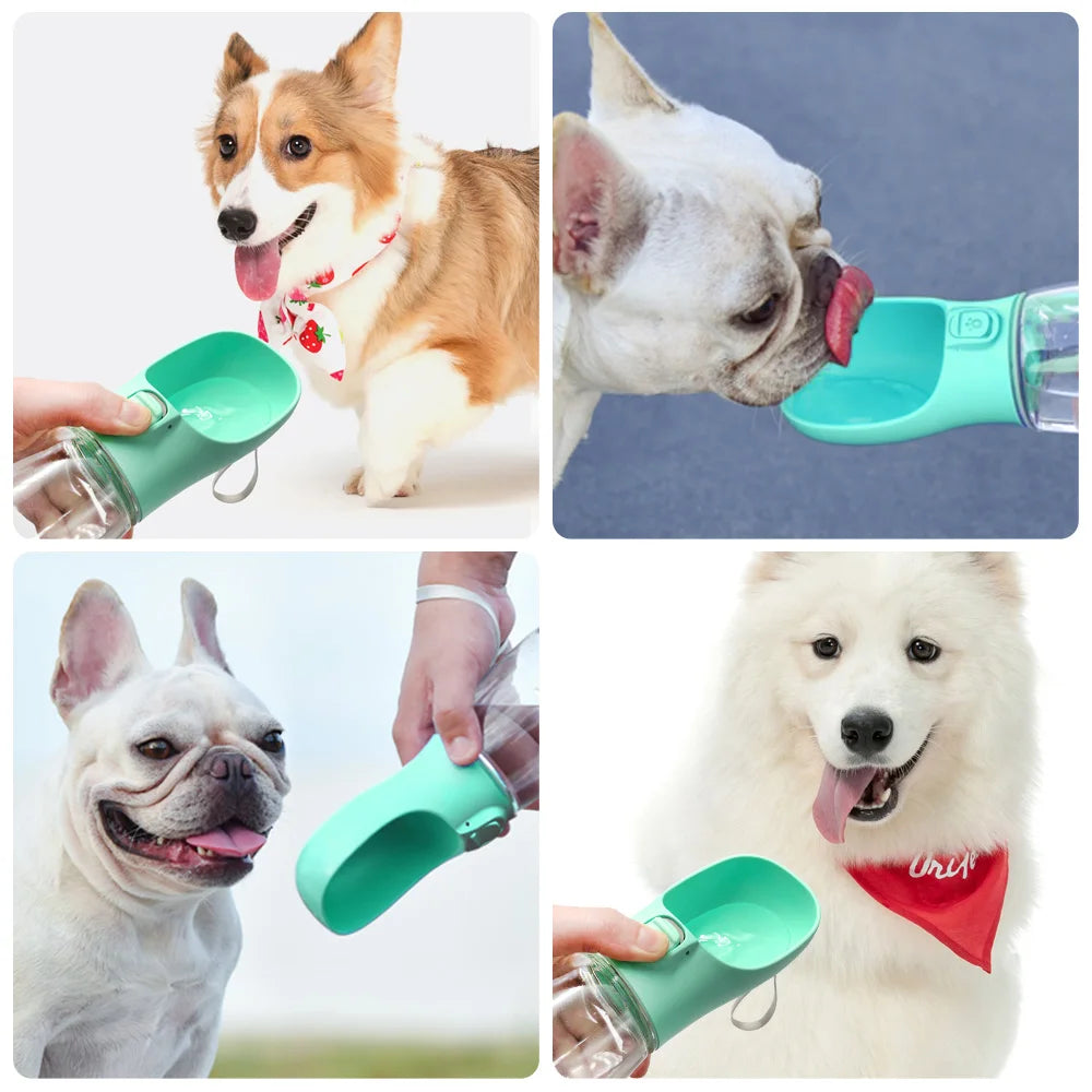 Portable Pet Hydration Bottle