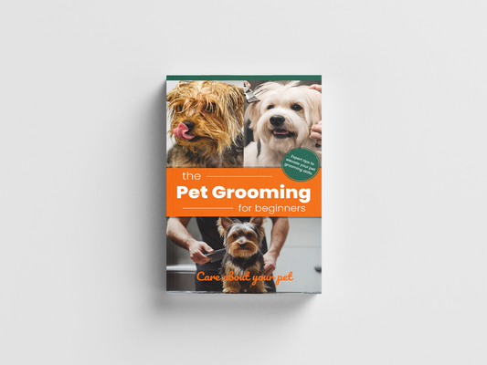 Pet Grooming Guide for Beginners